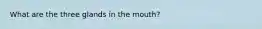 What are the three glands in the mouth?