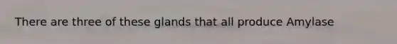 There are three of these glands that all produce Amylase