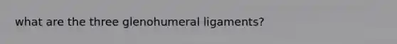 what are the three glenohumeral ligaments?