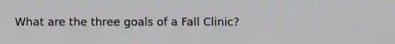 What are the three goals of a Fall Clinic?