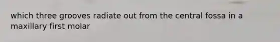 which three grooves radiate out from the central fossa in a maxillary first molar