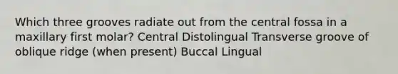 Which three grooves radiate out from the central fossa in a maxillary first molar? Central Distolingual Transverse groove of oblique ridge (when present) Buccal Lingual