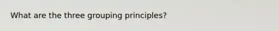 What are the three grouping principles?