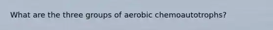 What are the three groups of aerobic chemoautotrophs?