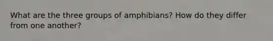 What are the three groups of amphibians? How do they differ from one another?