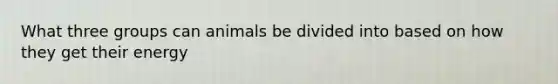 What three groups can animals be divided into based on how they get their energy