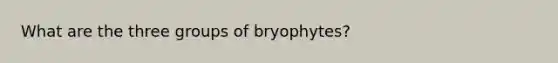 What are the three groups of bryophytes?