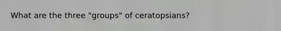 What are the three "groups" of ceratopsians?