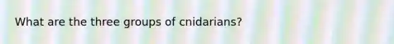 What are the three groups of cnidarians?