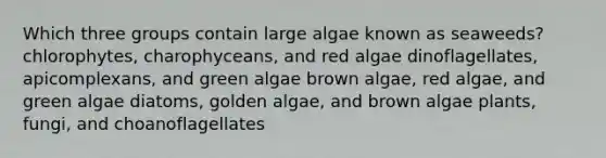 Which three groups contain large algae known as seaweeds? chlorophytes, charophyceans, and red algae dinoflagellates, apicomplexans, and green algae brown algae, red algae, and green algae diatoms, golden algae, and brown algae plants, fungi, and choanoflagellates