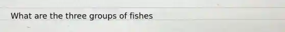 What are the three groups of fishes