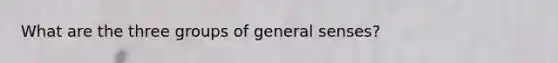 What are the three groups of general senses?