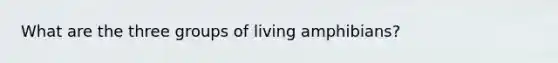 What are the three groups of living amphibians?