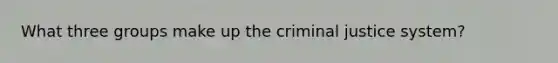 What three groups make up the criminal justice system?