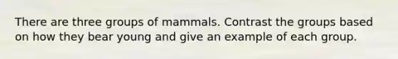 There are three groups of mammals. Contrast the groups based on how they bear young and give an example of each group.