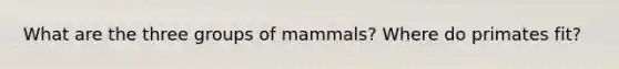 What are the three groups of mammals? Where do primates fit?