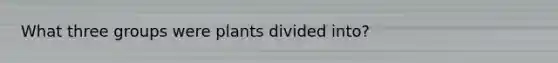 What three groups were plants divided into?