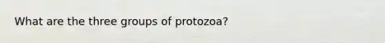 What are the three groups of protozoa?