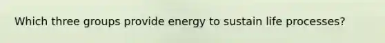 Which three groups provide energy to sustain life processes?