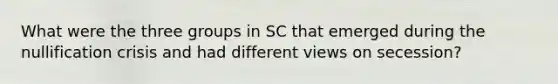 What were the three groups in SC that emerged during the nullification crisis and had different views on secession?