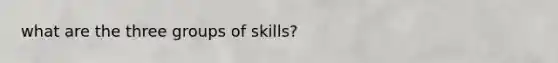 what are the three groups of skills?