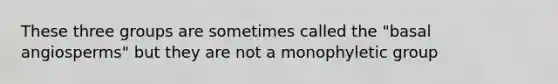 These three groups are sometimes called the "basal angiosperms" but they are not a monophyletic group