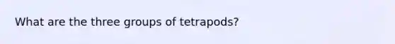 What are the three groups of tetrapods?