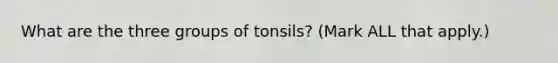 What are the three groups of tonsils? (Mark ALL that apply.)