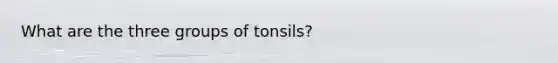 What are the three groups of tonsils?