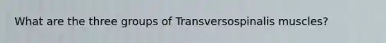 What are the three groups of Transversospinalis muscles?