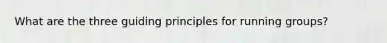 What are the three guiding principles for running groups?