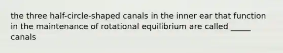 the three half-circle-shaped canals in the inner ear that function in the maintenance of rotational equilibrium are called _____ canals