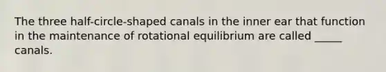 The three half-circle-shaped canals in the inner ear that function in the maintenance of rotational equilibrium are called _____ canals.