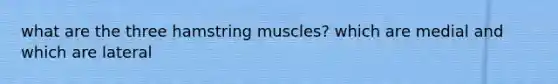 what are the three hamstring muscles? which are medial and which are lateral