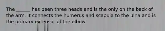 The ______ has been three heads and is the only on the back of the arm. It connects the humerus and scapula to the ulna and is the primary extensor of the elbow