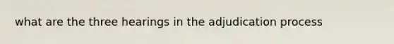 what are the three hearings in the adjudication process