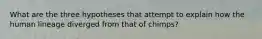 What are the three hypotheses that attempt to explain how the human lineage diverged from that of chimps?