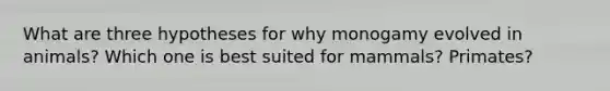What are three hypotheses for why monogamy evolved in animals? Which one is best suited for mammals? Primates?