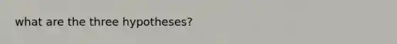 what are the three hypotheses?