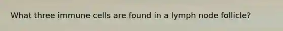 What three immune cells are found in a lymph node follicle?