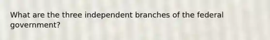 What are the three independent branches of the federal government?