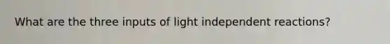 What are the three inputs of light independent reactions?