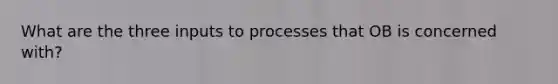 What are the three inputs to processes that OB is concerned with?