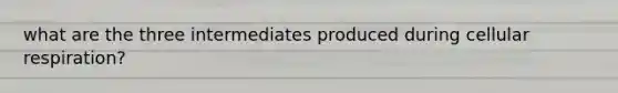 what are the three intermediates produced during cellular respiration?