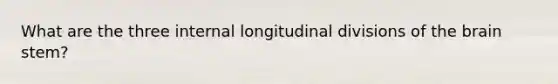 What are the three internal longitudinal divisions of the brain stem?