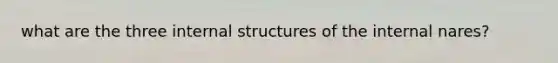 what are the three internal structures of the internal nares?