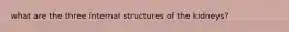 what are the three internal structures of the kidneys?