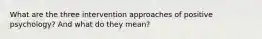 What are the three intervention approaches of positive psychology? And what do they mean?