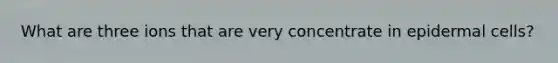 What are three ions that are very concentrate in epidermal cells?