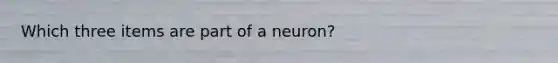 Which three items are part of a neuron?